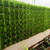 Best Selling Wall Hanging | Planting Pot | Flowers, Green Plants | Vertical Bag