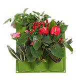 Best Selling Wall Hanging | Planting Pot | Flowers, Green Plants | Vertical Bag