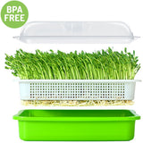 Best Seedling Grow Tray | Hydroponics System | Grow Nursery Pots Tray