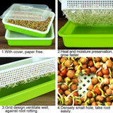 Best Seedling Grow Tray | Hydroponics System | Grow Nursery Pots Tray