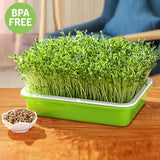 Best Seedling Grow Tray | Hydroponics System | Grow Nursery Pots Tray