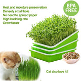 Best Seedling Grow Tray | Hydroponics System | Grow Nursery Pots Tray