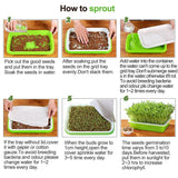 Best Seedling Grow Tray | Hydroponics System | Grow Nursery Pots Tray