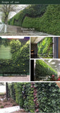 Three-Dimensional Vertical Green Plant Wall Hanging