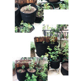 Best Fabrics Grow Bag | with Handles | for Potato, | Sweet Potato & | Yam